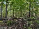 Lot 353 Diana Drive - Photo 3