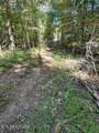 Lot 353 Diana Drive - Photo 4