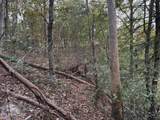 0 Panther Falls Rd - Photo 10