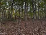 0 Panther Falls Rd - Photo 2