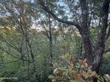 0 Panther Falls Rd - Photo 7