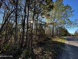  Timothy Drive - Photo 3