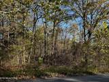  Timothy Drive - Photo 4