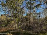  Timothy Drive - Photo 5