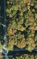  Timothy Drive - Photo 9