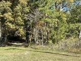  Leatherwood Ford Rd - Photo 6