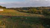  Lot 3 Old Niles Ferry Rd - Photo 23