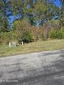428 Water View Drive - Photo 13