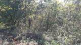 Lot 21D Crappie Lane - Photo 10