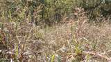 Lot 21D Crappie Lane - Photo 13