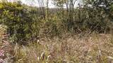 Lot 21D Crappie Lane - Photo 15