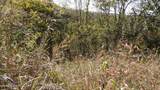 Lot 21D Crappie Lane - Photo 16