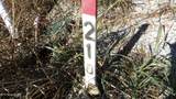 Lot 21D Crappie Lane - Photo 2