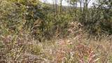 Lot 21D Crappie Lane - Photo 20