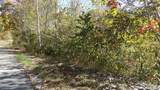 Lot 44D Muskie Lane - Photo 11