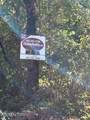 471 Bill Moser Rd - Photo 18