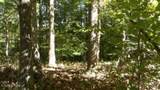 Lot 2 Inland Court - Photo 1