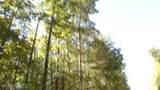 Lot 2 Inland Court - Photo 27