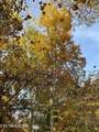 0 Lucas Lane - Photo 15