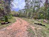 0 Lucas Lane - Photo 7