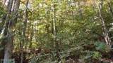 8.60ac Moss Arcot Rd - Photo 35
