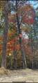 109 Cherokee Path - Photo 33
