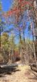 109 Cherokee Path - Photo 35