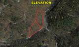 2 N Clear  Fork Rd - Photo 13