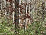  Lower Rockwood Rd Lot 19 - Photo 4