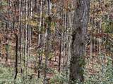  Lower Rockwood Rd Lot 22 - Photo 1