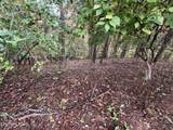  Lot 54 Deer Chase Trl - Photo 4