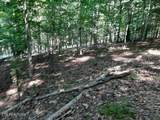  Deer Pond Circle - Photo 2