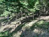  Deer Pond Circle - Photo 7