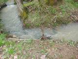 1 Kodak Rd - Photo 11