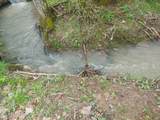 1 Kodak Rd - Photo 13