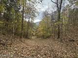  Sugar Loaf -13.5 Acres Rd - Photo 18