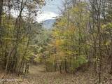  Sugar Loaf -13.5 Acres Rd - Photo 19