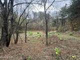  Sugar Loaf -13.5 Acres Rd - Photo 21