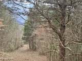  Sugar Loaf -13.5 Acres Rd - Photo 25