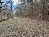  Sugar Loaf -13.5 Acres Rd - Photo 29