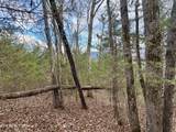  Sugar Loaf -13.5 Acres Rd - Photo 31
