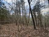  Sugar Loaf -13.5 Acres Rd - Photo 33