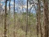  Sugar Loaf -13.5 Acres Rd - Photo 35
