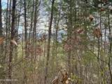  Sugar Loaf -13.5 Acres Rd - Photo 36