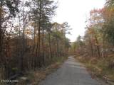  Poor Valley Rd - Photo 4