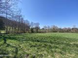  Paint Rock Valley Rd - Photo 30