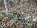 Tract 7 Topaz Way - Photo 5