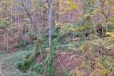 Lots 1 2 3 Timber Grove Rd - Photo 1
