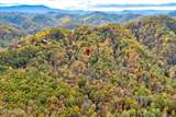 Lots 1 2 3 Timber Grove Rd - Photo 19