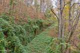 Lots 1 2 3 Timber Grove Rd - Photo 2